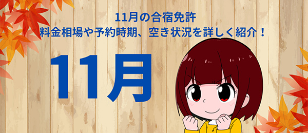 11 月の合宿免許｜料金相場や予約時期、空き状況を詳しく紹介！