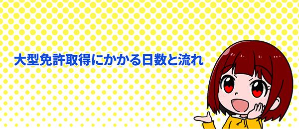 大型自動車免許｜取得にかかる日数と流れは？