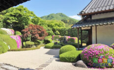 頼久寺