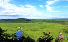 釧路湿原国立公園