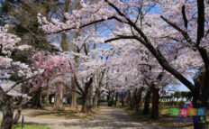 開成山公園