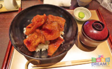 ソースカツ丼