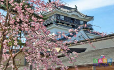 岡崎城