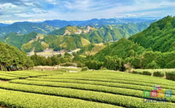静岡県