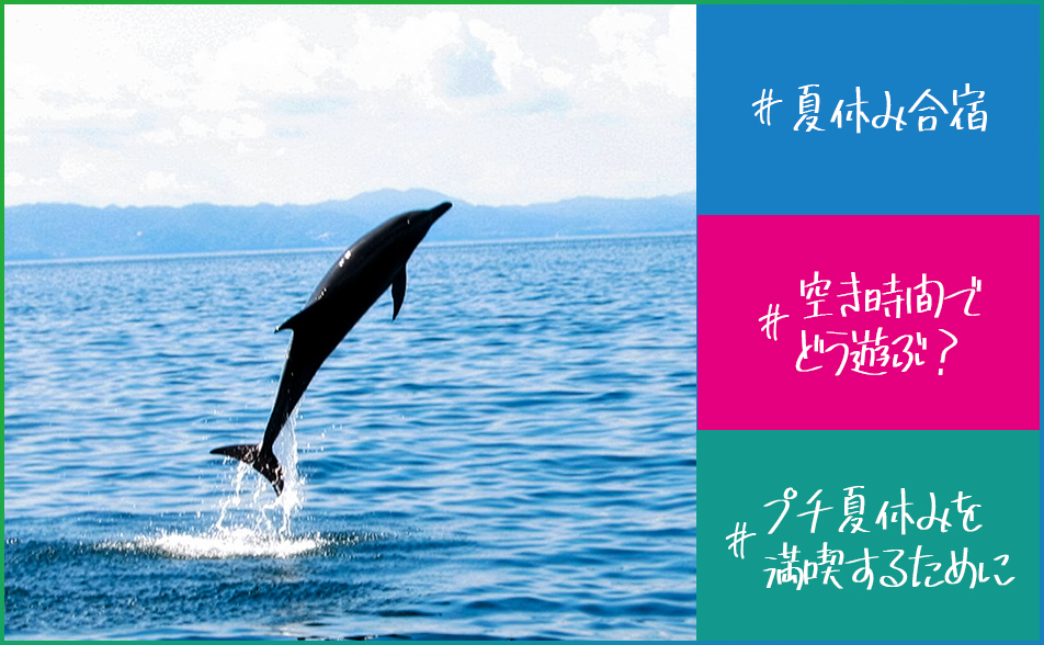 夏休みの自由時間・空き時間の過ごし方は?プチ夏休みを満喫するために。