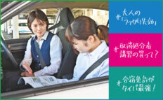 【免許のうっかり失効】1年以上過ぎたら合宿免許がタイパ最強!大人が浮かない教習所の選び方